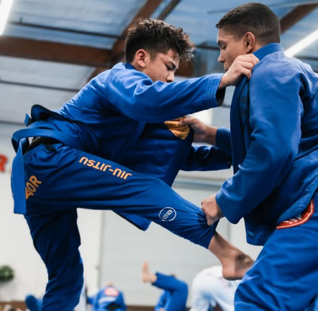 Jiu‑Jitsu partners practicing a technique